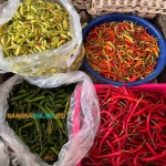 Harga cabai di Jatim hari ini kembali mengalami kenaikan. Foto: Sulthon/Bangsaonline.