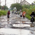 Kondisi jalan kabupaten menghubungkan Desa Ngepung Kecmatan Kedamean Wedoroanom Kacamatan Driyorejo yang rusak parah. foto: ist.
