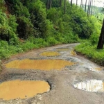 Salah satu jalan yang rusak parah di wilayah Kecamatan Ngrayun.