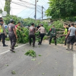 Evakuasi pohon tumbang yang dilakukan tim gabungan di Sidoarjo akibat hujan dan angin kencang