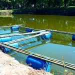 Lantamal VI Sukses Apungkan Keramba Jaring  cdi kolam ikan Baddoka.