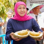 Khofifah saat menunjukkan hasil panen Republik Durian Farm, Blitar. (ist)