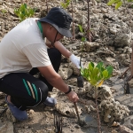 Insan PG melakukan penanaman mangrove di Pusat Restorasi dan Penanaman Mangrove (PRPM) Mengare.