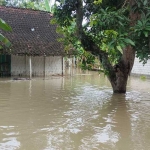 Salah satu tempat di Tuban yang terendam banjir akibat luapan sungai Bengawan Solo, Rabu (13/3/2024). 