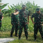 Kasdam V/Brawijaya, Brigjen TNI Piek Budyakto, saat meninjau lahan swasembada pangan di Dusun Panggang, Desa Tulung, Kecamatan Kedamean, Gresik.