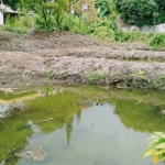 Lokasi pembangunan kolam untuk budi daya ikan endemik Sungai Brantas.