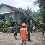 Petugas BPBD Kabupaten Madiun saat membersihkan pohon yang tumbang dan menimpa rumah warga.