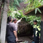 Petugas saat menunjukkan plengsengan yang ambrol akibat hujan deras di Kota Batu.