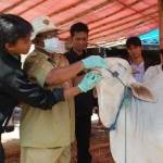 Petugas peternakan memeriksa kesehatan hewan. foto: haris/BANGSAONLINE