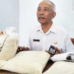 Kepala Dinsos Kota Kediri, Triyono Kutut dengan beras tak layak
konsumsi.