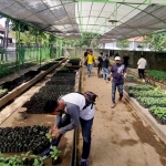 Kebun bibit tanaman di Kantor Dinas Ketahanan Pangan dan Pertanian (DKPP) Surabaya.