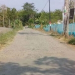 Akses jalan menuju wisata Ronggojalu yang rusak parah.