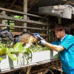 Seorang petugas saat memeriksa kambing untuk kurban. (Ist). 
