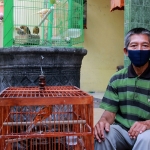 Abdul Kanan (60 tahun), warga Kelurahan Bangsal bersama burungnya. foto: ist
