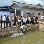 Budi Daya ikan di Dusun Karangploso, Desa Ngerong, untuk memulihkan perekonomian.
