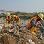 Gerakan bersih pantai dan laut yang dilakukan Petrokimia Gresik. Foto: Ist