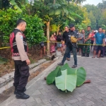 Petugas kepolisian melakukan olah TKP di lokasi penemuan mayat pria disabilitas yang diduga menjadi korban pembunuhan di Desa Kedungboto Kecamatan Porong. 