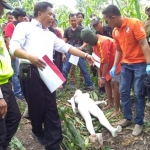 Pelaku saat memperagakan adegan pembunuhan di ladang jagung.