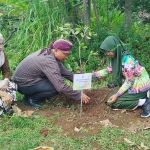 Penanaman bibit pohon di Desa Pakel, Kecamatan Bareng, Jombang.