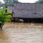 Banjir merendam separuh dari ketinggian rumah, kemarin. foto: soewandito/ BANGSAONLINE