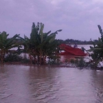 Tanggul Kali Avour Ingas di Desa Kedung Primpen, Kecamatan Kanor, Kabupaten Bojonegoro saat mengalami banjir akibat jebolnya tanggul Kali Avour Ingas, Senin (24/10/2022)