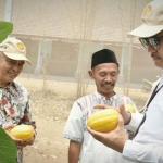 Irjen IV Kementan terpesona melon chimoy Ponpes Al Huda.