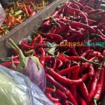 Harga cabai merah besar di Jatim hari ini naik Rp1.500,00. Foto: Sulthon/Bangsaonline.