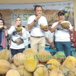 Bupati Ipong Muchlissoni menikmati durian dalam Festival 2.000 Durian di Telaga Ngebel. foto: NOVIAN/ BANGSAONLINE