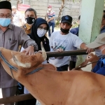 TINJAU: Anggota Komisi B Sudjalil dan Kepala Dispaperta Eni Rustianingsih melihat sapi yang mendapatkan IB dan PKB di Pasar Hewan Krian, Rabu (22/9/2021). foto: istimewa