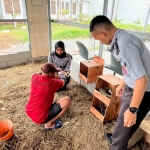 Salah satu WBP Lapas Pemuda Madiun saat memindah telur ayam