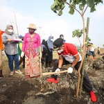 Wakil Wali Kota Surabaya Armuji memimpin langsung kegiatan penanaman ratusan pohon kemiri sunan di Green Belt Tempat Pembuangan Akhir (TPA) Sampah Benowo Surabaya, Sabtu (11/6/2021).