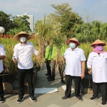 Wali Kota Eri bersama jajarannya panen padi di Taman Surya Balai Kota Surabaya, Rabu (9/6/2021). (foto: ist)