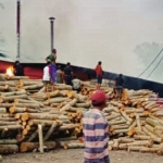 Sebuah tempat pengolahan kayu di Desa Kendalrejo, Kecamatan Talun terbakar, Senin (25/10/2021) sore.