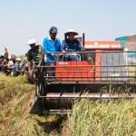 Mesin panen multi guna diuji coba oleh Bupati Fadeli. Foto:aris sugiarto/bangsaonline 