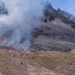 Kebakaran Taman Nasional Bromo Tengger Semeru (TNBTS) yang terjadi beberapa waktu.
