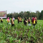 Ratusan elemen masyarakat mengikuti pembibitan.