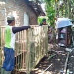 Kandang ayam milik Mbah Jalal yang baru sudah jadi. 