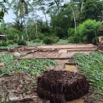 Banjir yang melanda kecamatan Binangun Blitar yang merusak rumah dan kebun milik warga