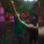 Kamid, saat memegang ular sanca yang ditangkap warga Dusun Kajar, Desa Kalipang, Kecamatan Grogol, Kabupaten Kediri. Foto: Ist