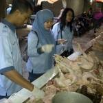 Petugas Dinas Pertanian saat memeriksa daging ayam. foto:suwandi/BANGSAONLINE