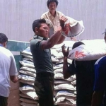 Anggota Babinsa Bangkalan membantu pengiriman beras ke Bulog. 