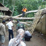 Kondisi rumah korban setelah tertimpa pohon tumbang.