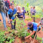 Penanaman pohon di hutan wisata Kembang Kuning yang berada di Desa Bolo, Kecamatan Kare, Sabtu (7/3).