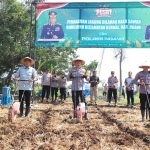 Kapolres Ngawi AKBP Charles Pandapotan Tampubolon saat memimpin jajaran menanam benih jagung.