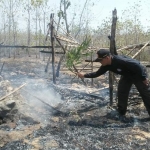 Petugas memadamkan sisa-sisa api yang masih menyala di di Petak 44 A BPKH Merakurak, Desa Tuwiriwetan, Kecamatan Merakurak, Kabupaten Tuban, Ahad (4/8).