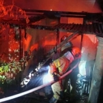 Petugas Damkar Bojonegoro saat berjibaku memadamkan api