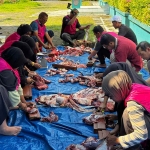 Daging hewan kurban siap didistribusikan. (Ist)