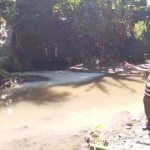 Kondisi sungai Dusun Sumberejo, Desa Pondokrejo, Kecamatan Tempurejo yang diduga tercemar limbah cair hasil pengolahan karet Pabrik PTPN XII Kebun Glantangan.