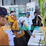Direktur Perbenihan Tanaman Pangan Kementerian Pertanian, Gunawan, dan Wakil Bupati Kediri, Dewi Maria Ulfa saat melihat hasil tanam jagung NK. Foto: MUJI HARJITA/BANGSAONLINE