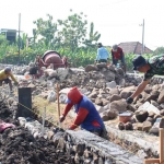 Anggota TNI bersama warga mengerjakan plengsengan irigasi di Desa Kedondong, Kecamatan Tulangan, Sidoarjo. Foto: Ist